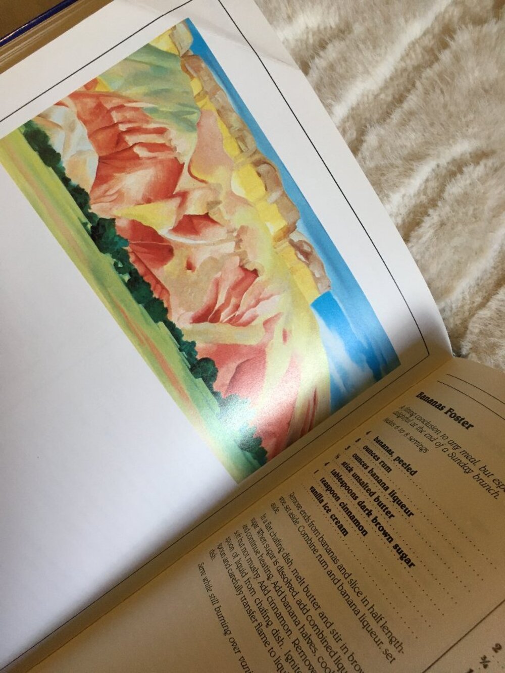 1980s Vintage Whimsigoth Creole Art Cookbook NOMA - Picture 9 of 12